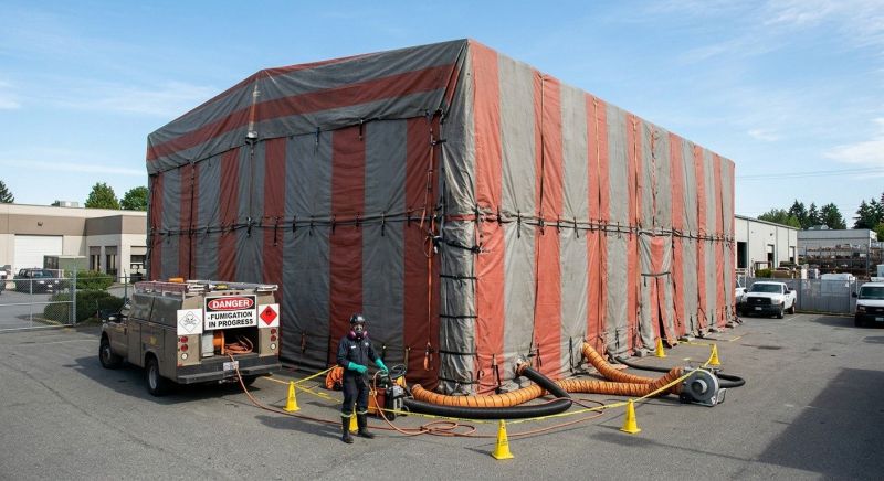 Commercial Fumigation in Wilmington, NC