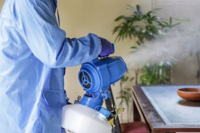 Fumigation Service in Myrtle Beach, SC