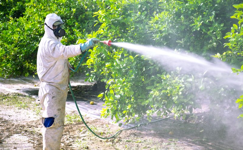 Pest Fumigation Service in Madison, WI