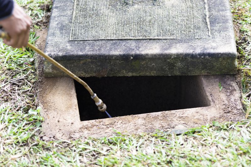 Rat Fumigation Service in Gwinnett County, GA
