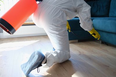 Roach Fumigation in Toledo, OH