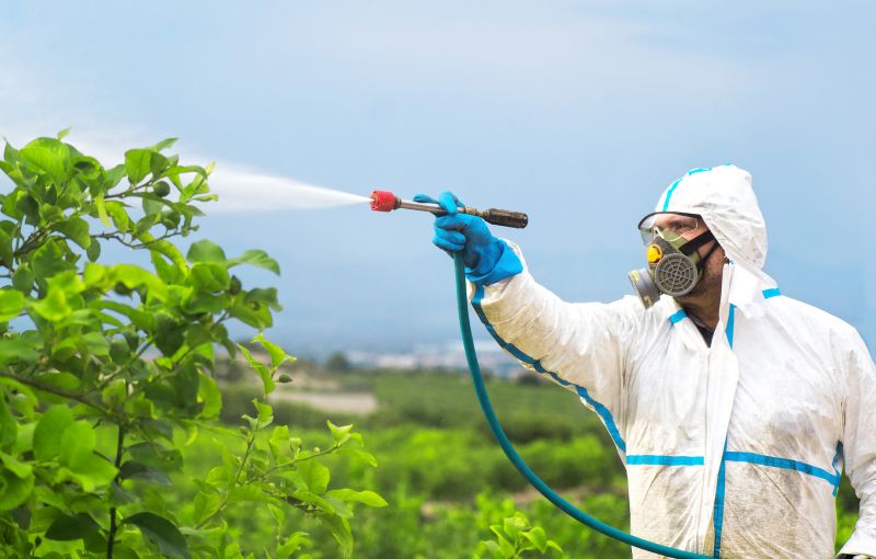 Roach Fumigation in Naperville, IL