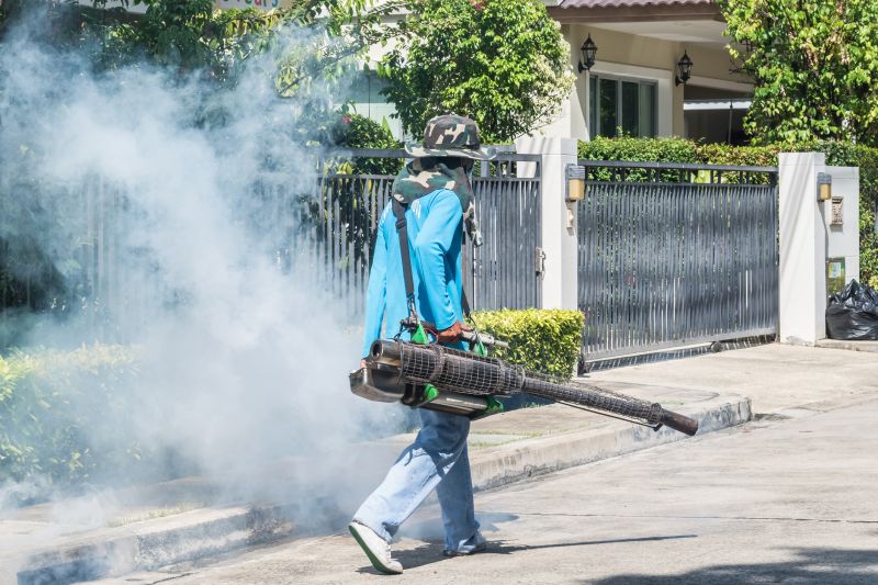 Spider Fumigation Service in Ann Arbor, MI