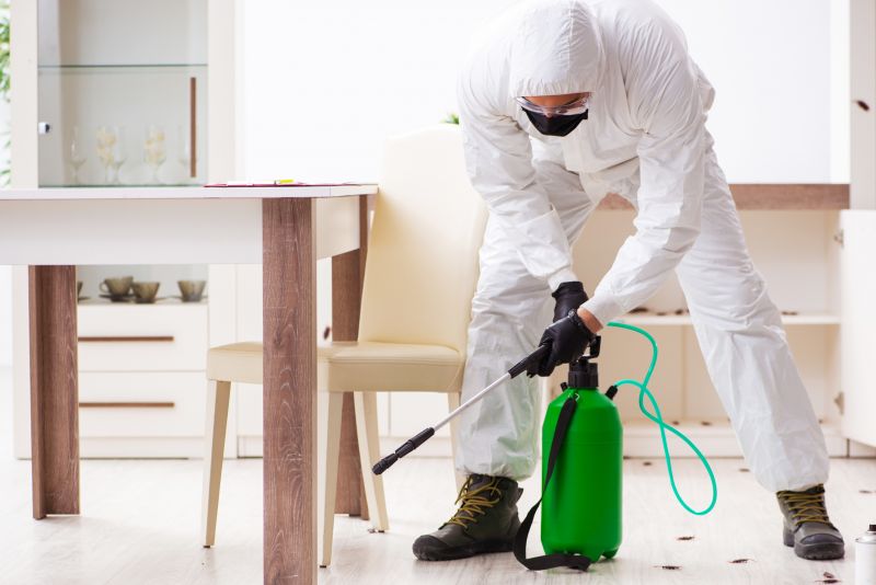 Extermination Service in Frisco, TX