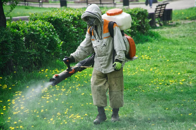 Insect Control Service in Arlington, TX