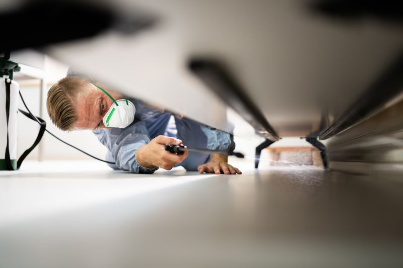 Pest Extermination Service in Frisco, TX