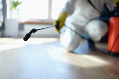 Pest Fumigation Service in Wilmington, NC