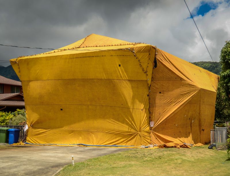 Termite Tenting in Cumming, GA