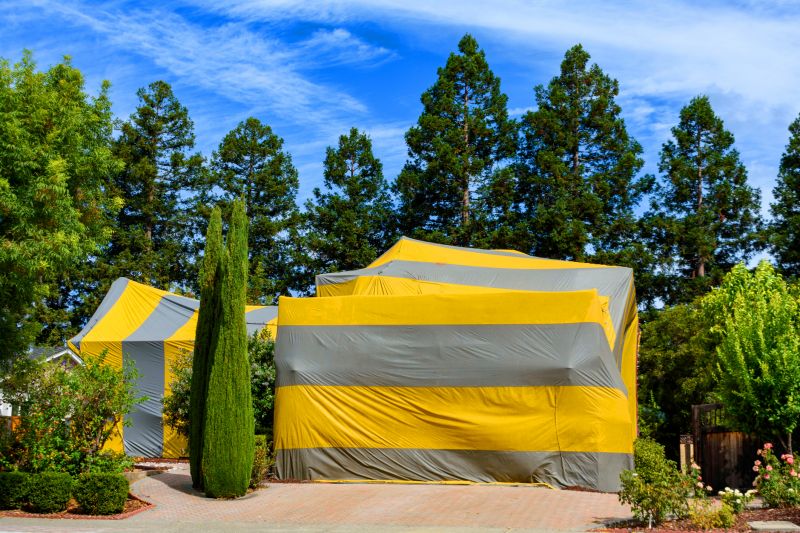 Termite Tenting in Marietta, GA